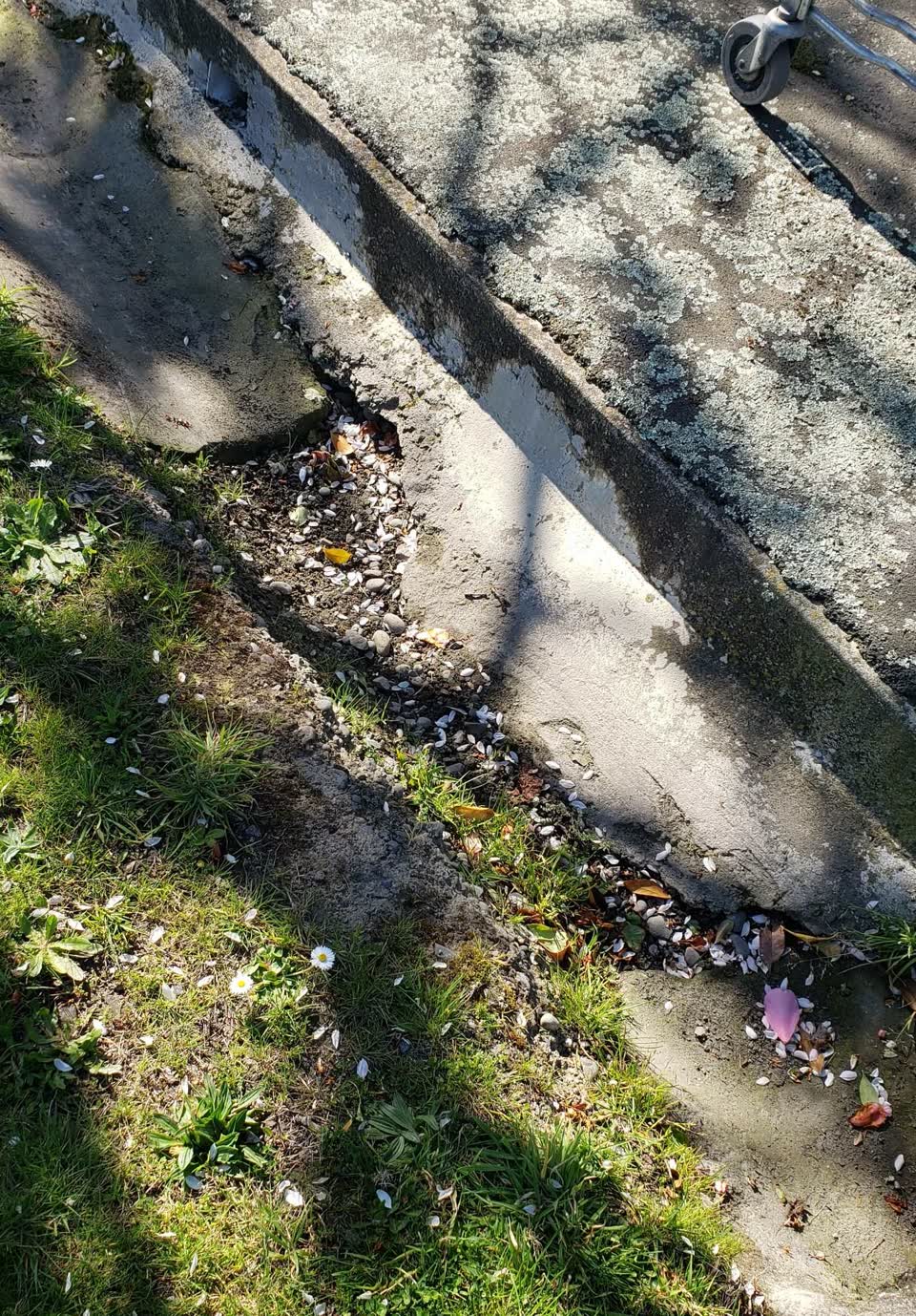 The photograph attached to this pavement - damaged report
