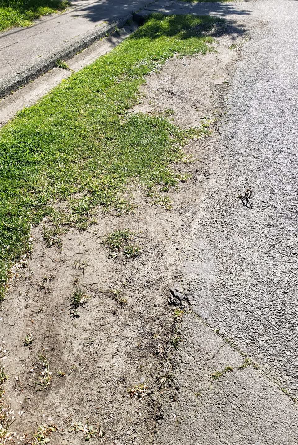 The photograph attached to this damaged road report