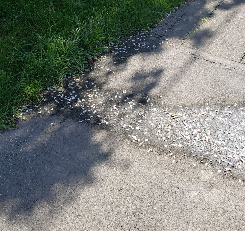The photograph attached to this water leak report