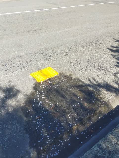Water Leak, a report photo