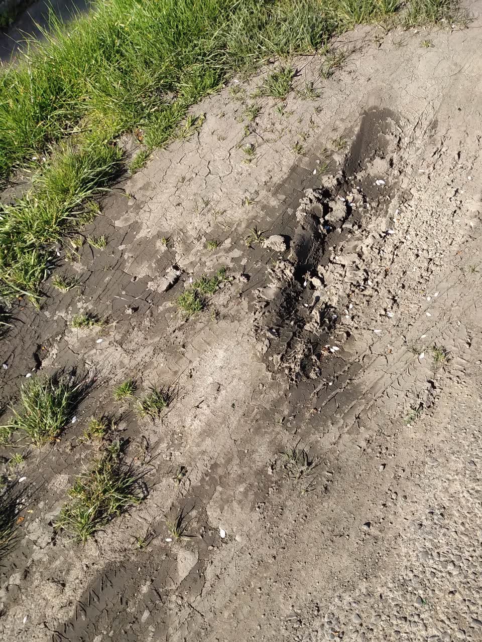 The photograph attached to this damaged road report