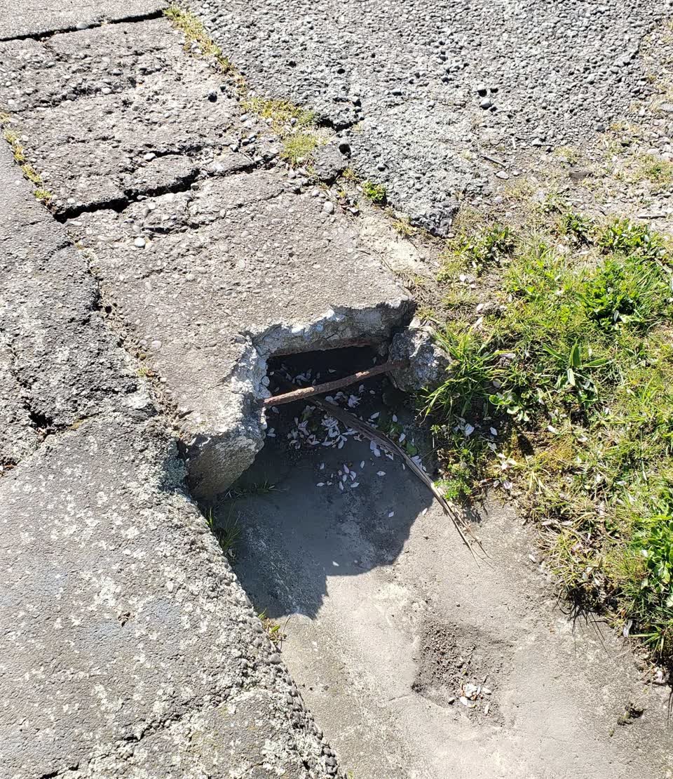 The photograph attached to this pavement - damaged report