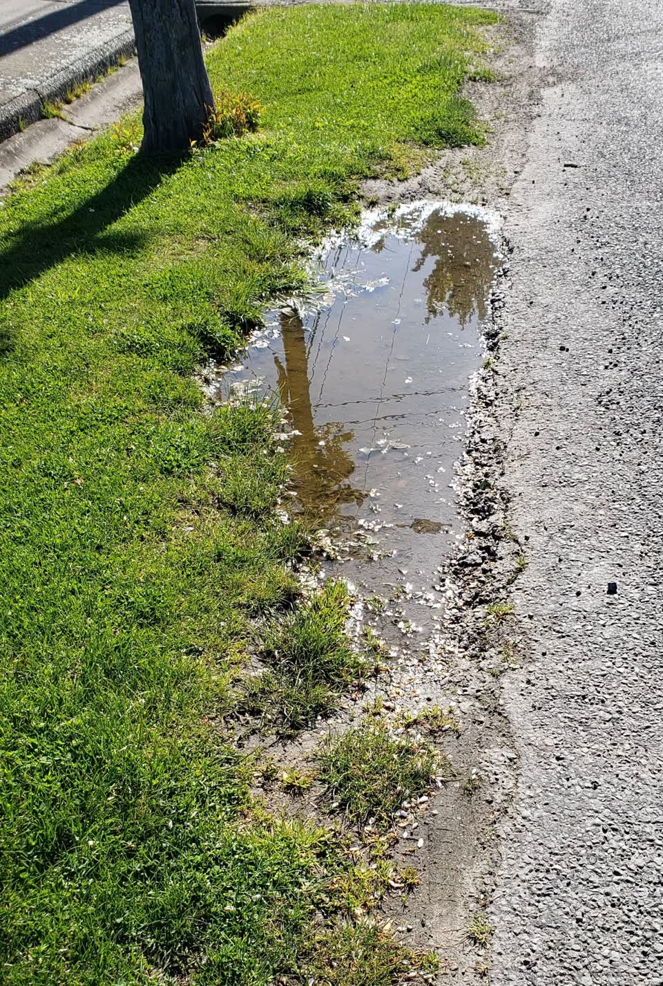 The photograph attached to this damaged road report