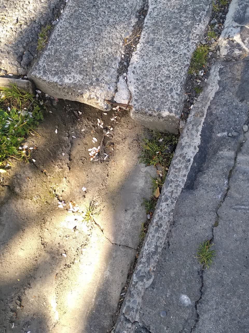 The photograph attached to this pavement - damaged report