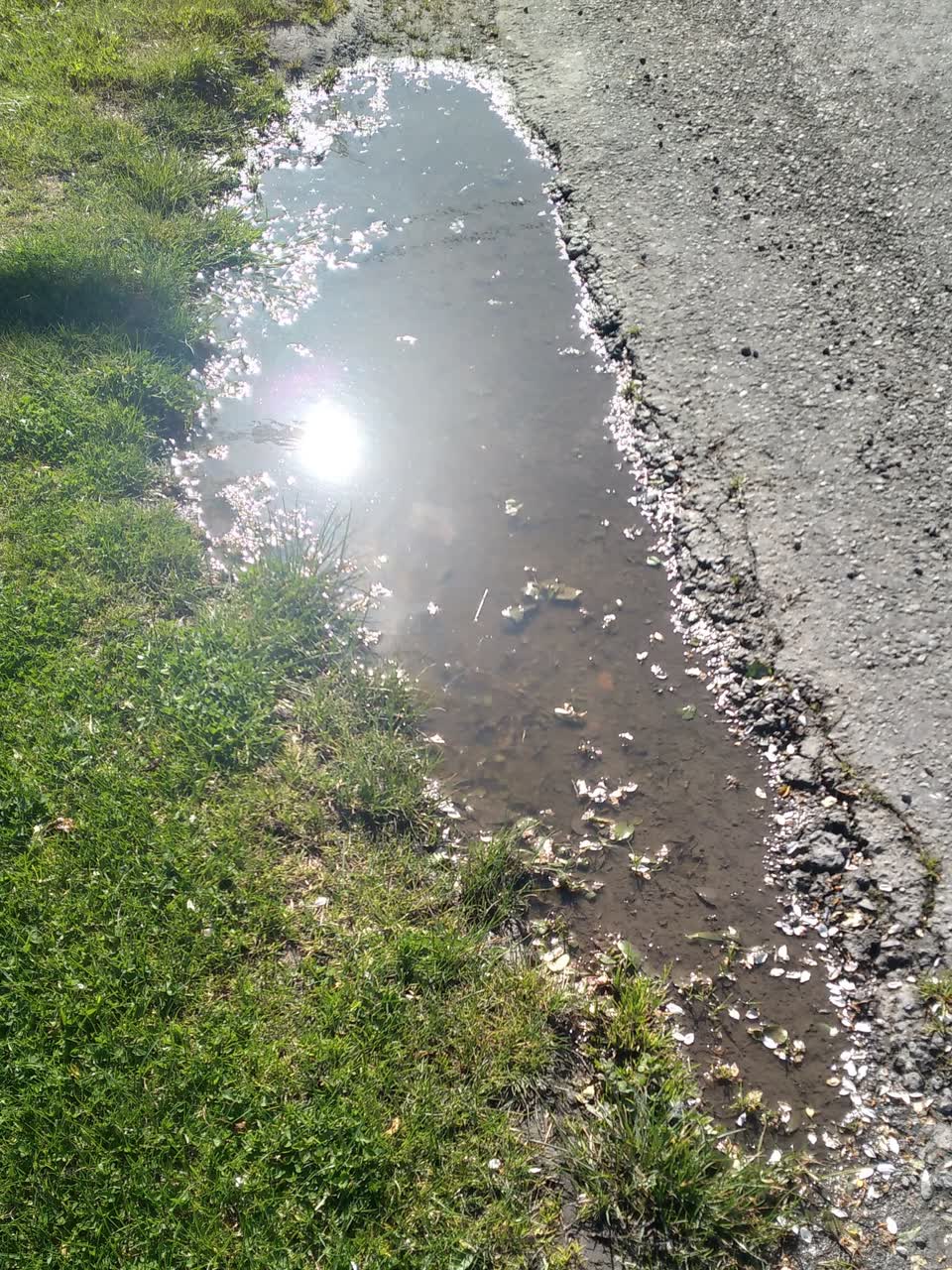 The photograph attached to this damaged road report