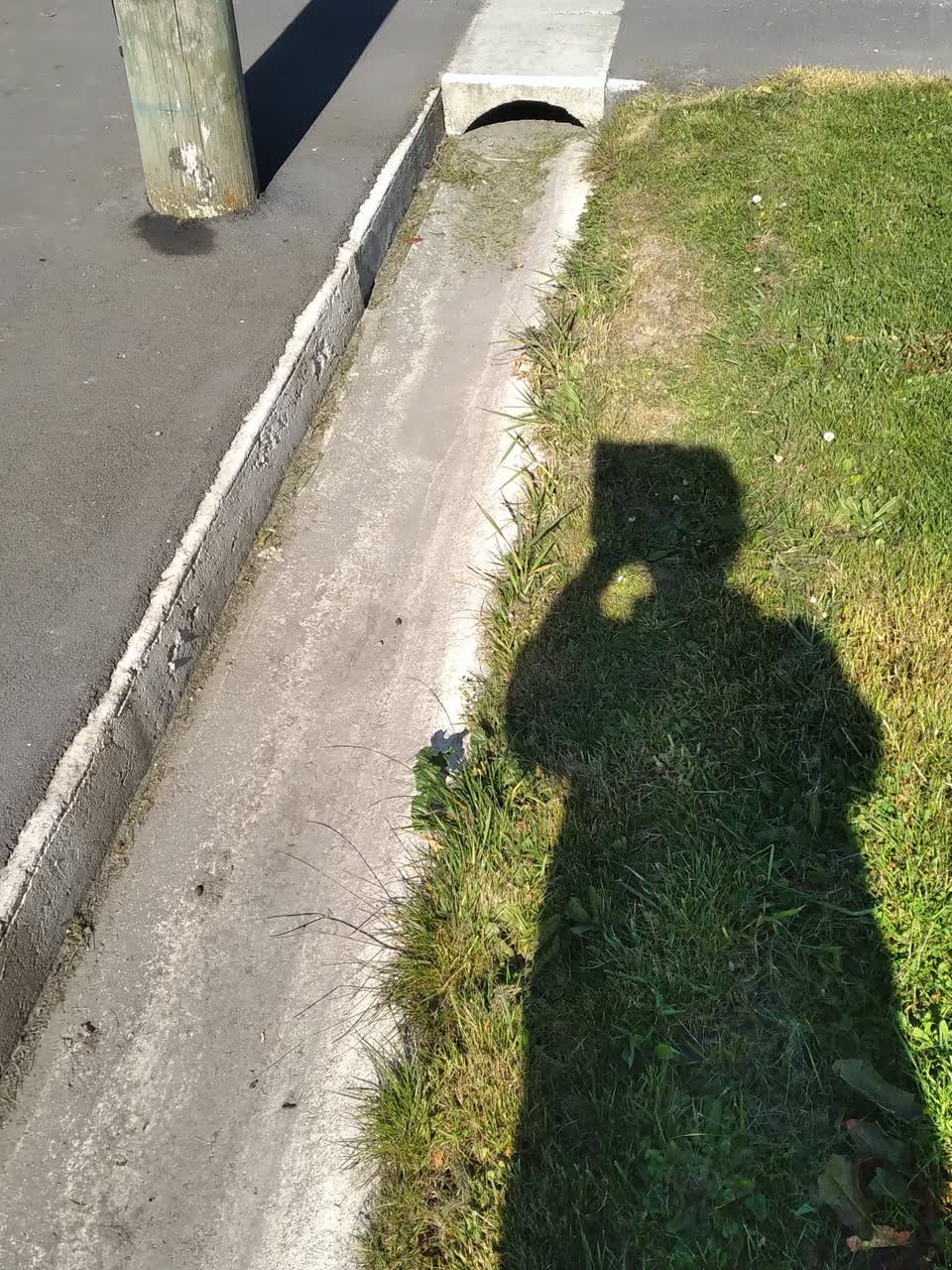 The photograph attached to this damaged road report