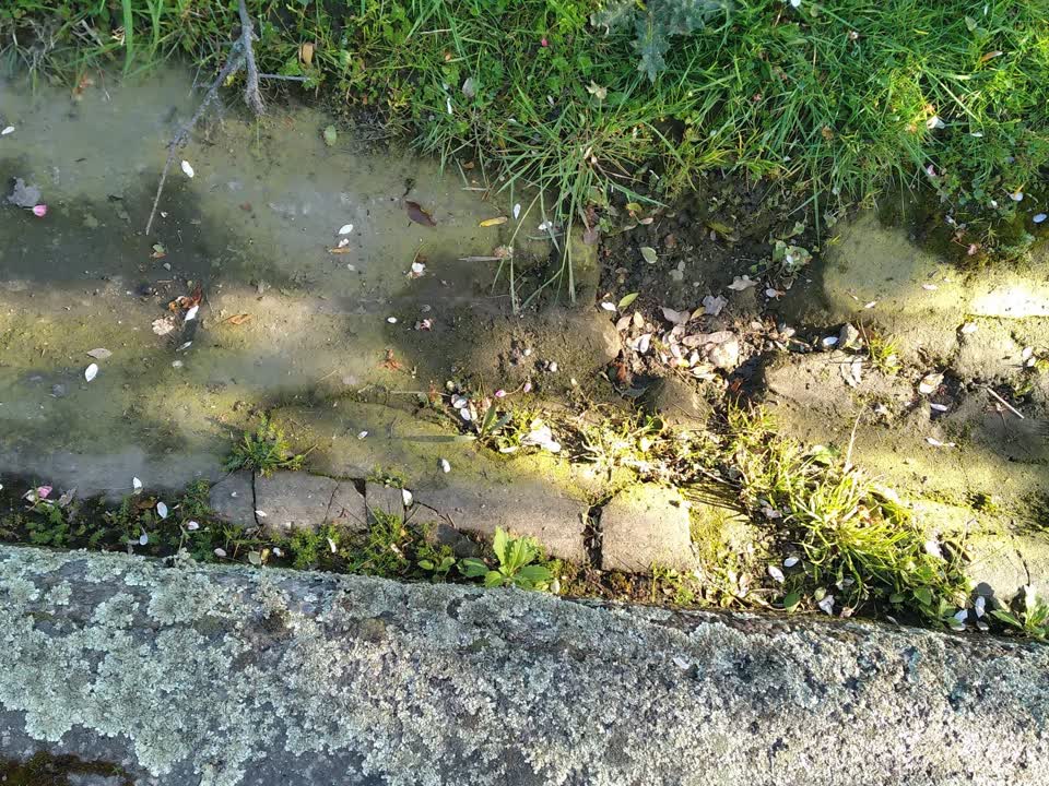 The photograph attached to this pavement - damaged report