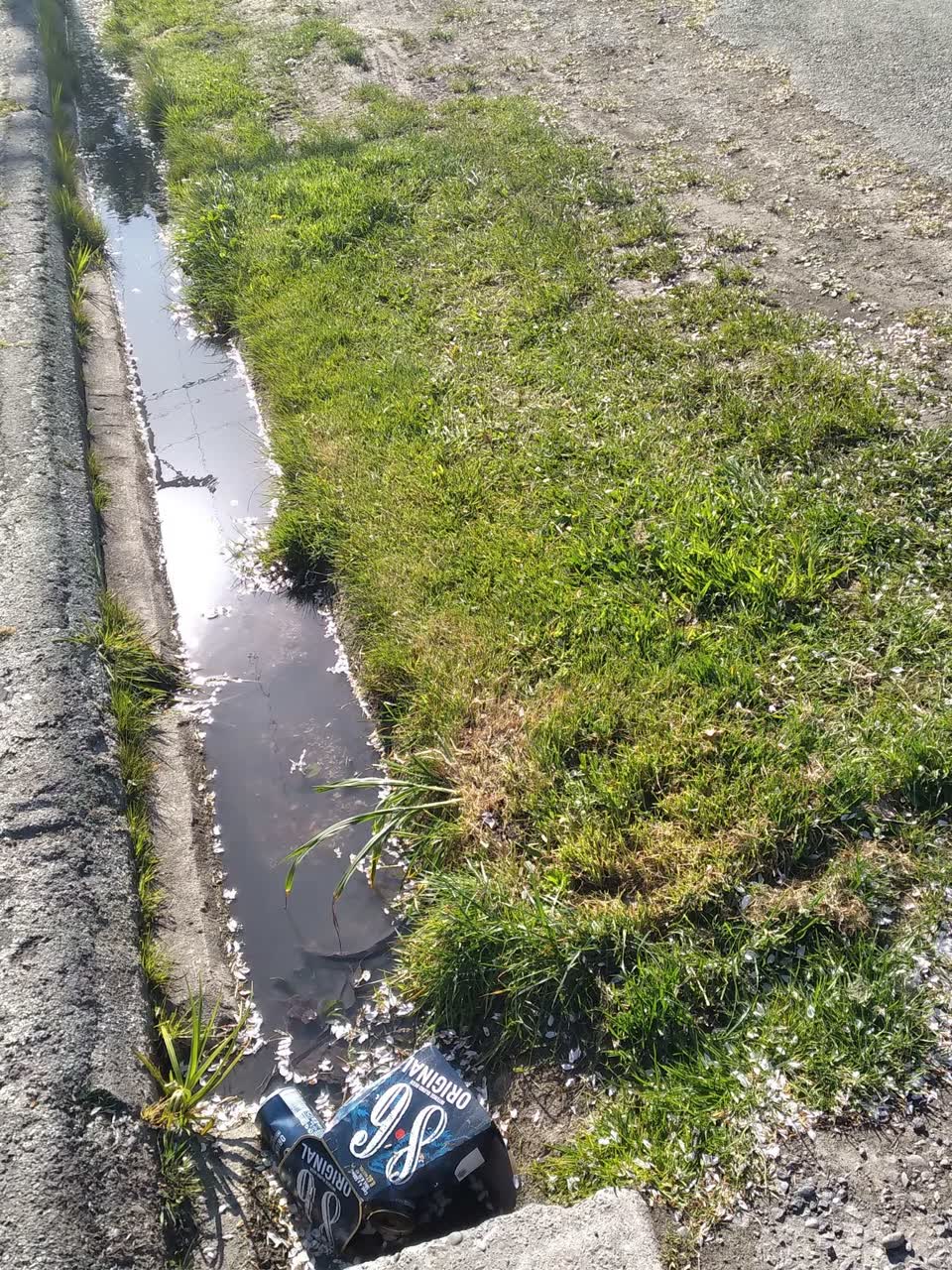 The photograph attached to this pavement - damaged report