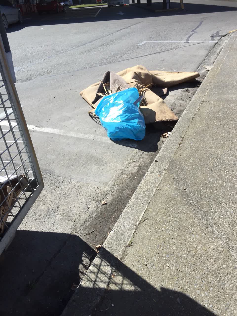 The photograph attached to this dumped rubbish report