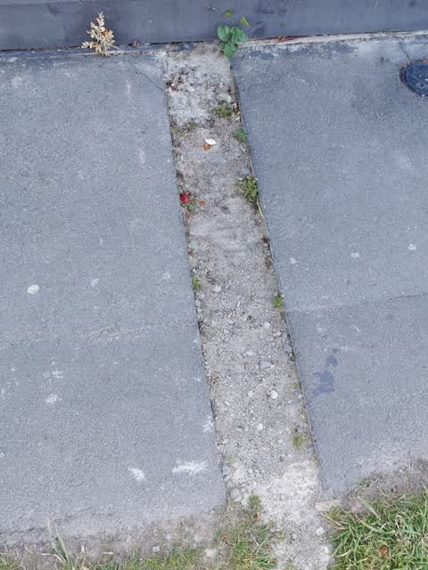 Pavement - Damaged, a report photo