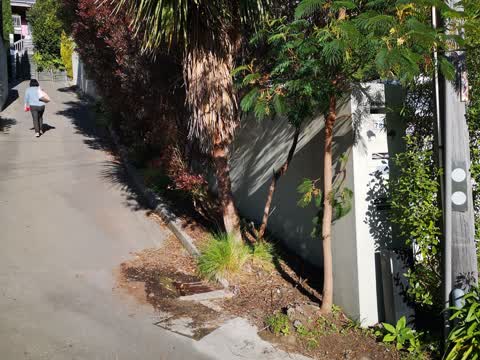 Water Leak, a report photo