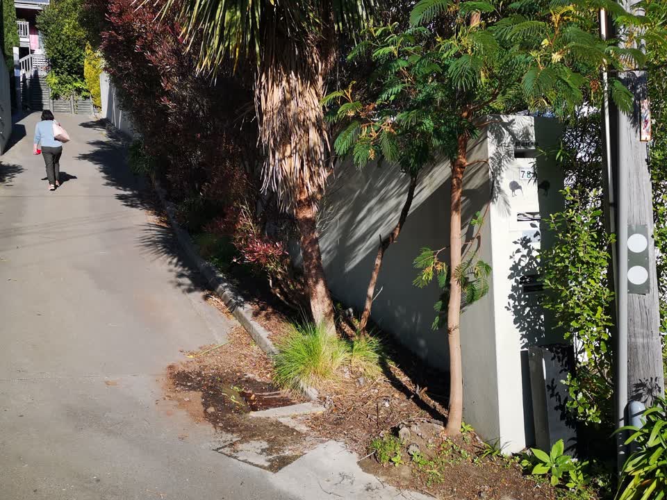 The photograph attached to this water leak report