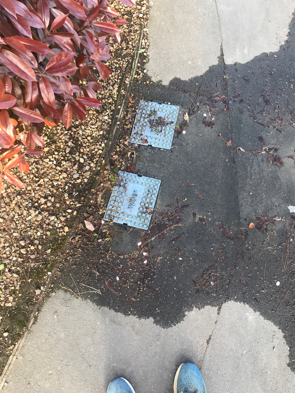 The photograph attached to this water leak report