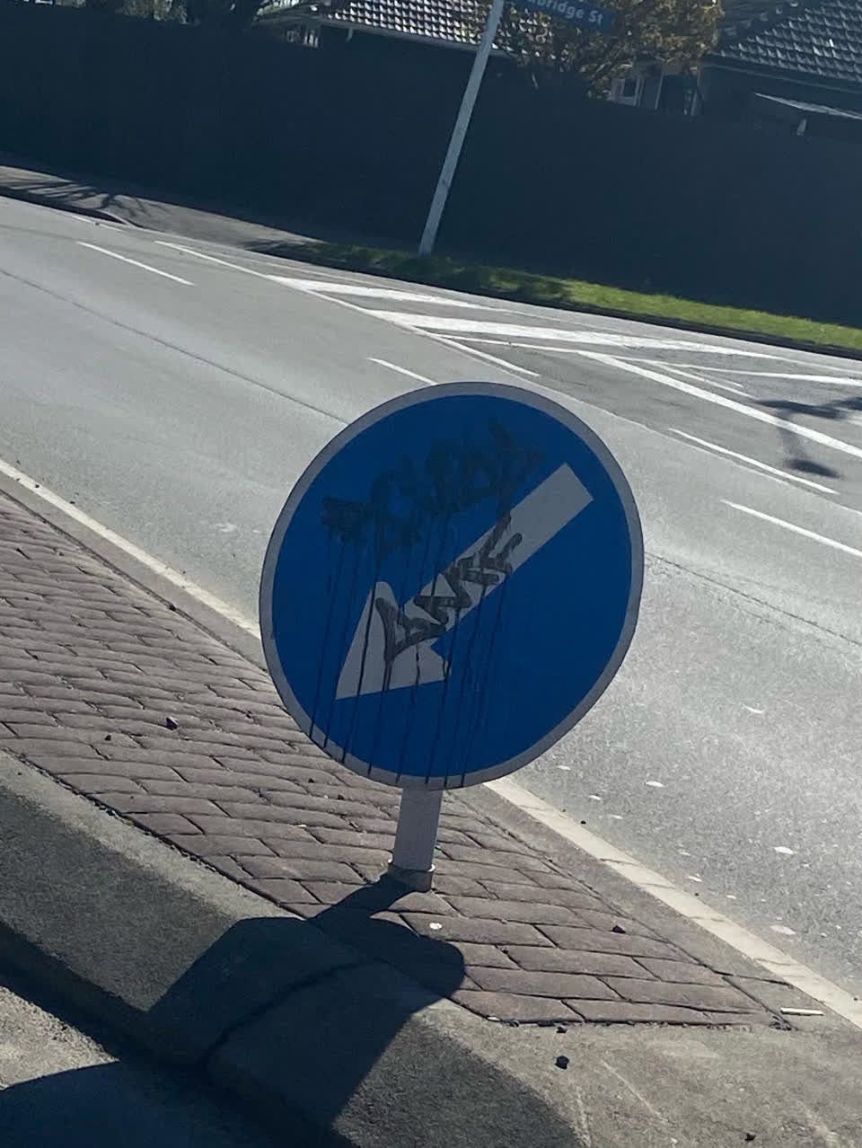 The photograph attached to this graffiti - signage report