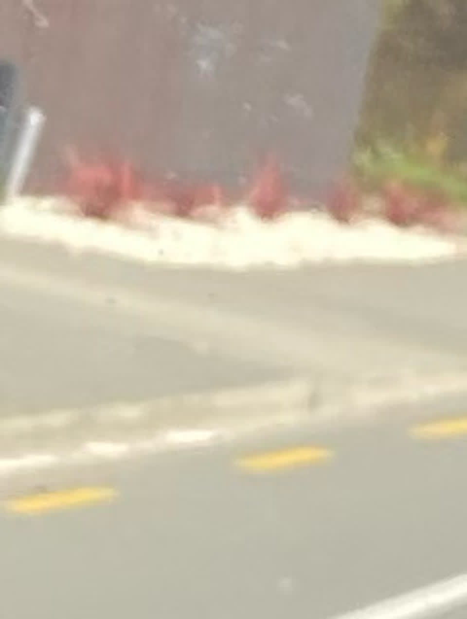 The photograph attached to this road signage report
