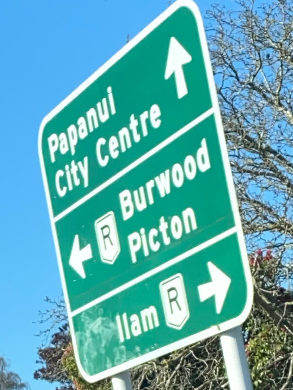 The photograph attached to this graffiti - signage report