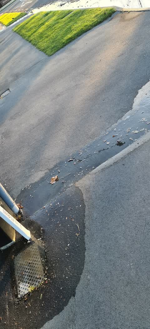 Water Leak, a report photo