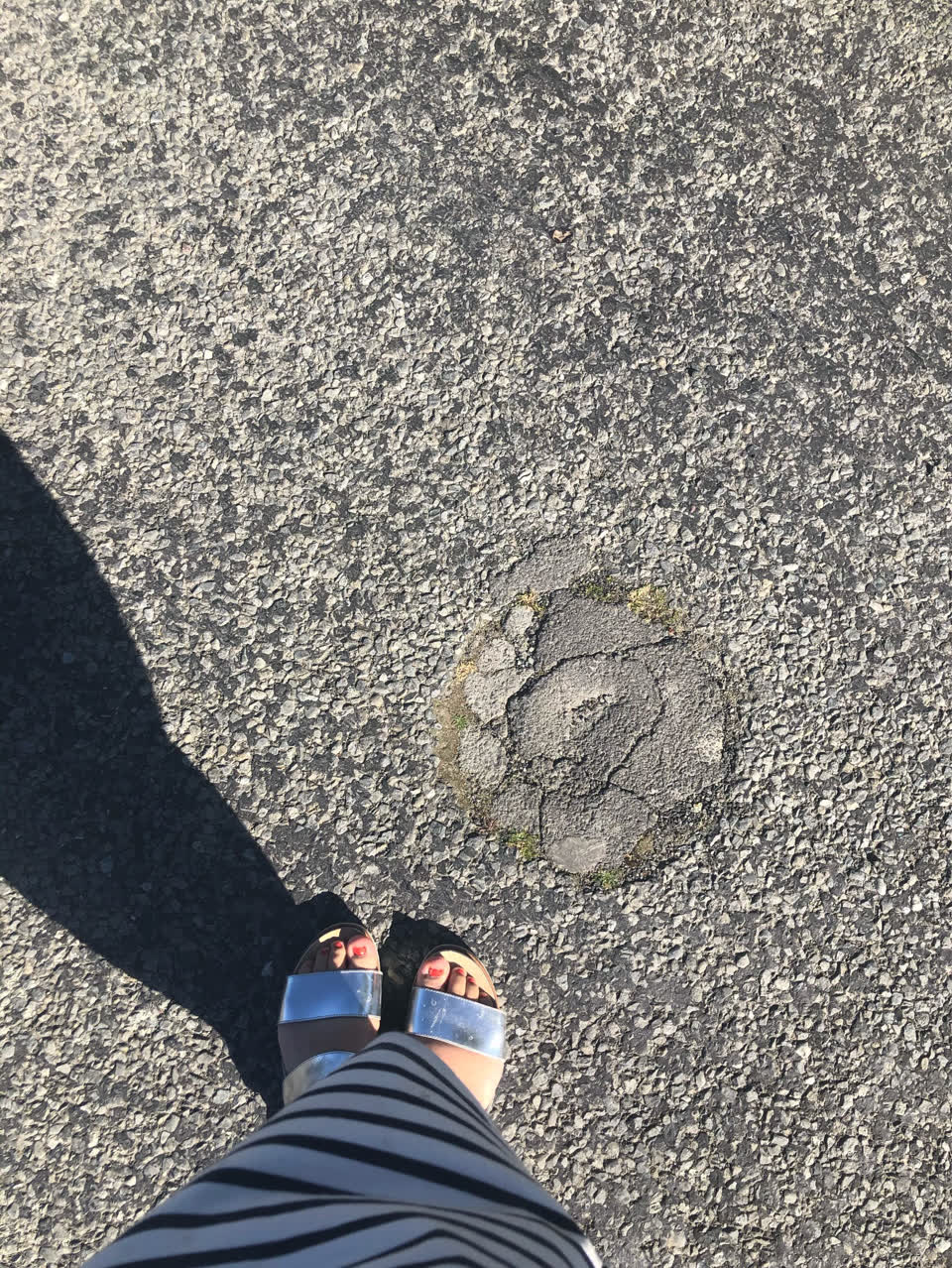 The photograph attached to this damaged road report