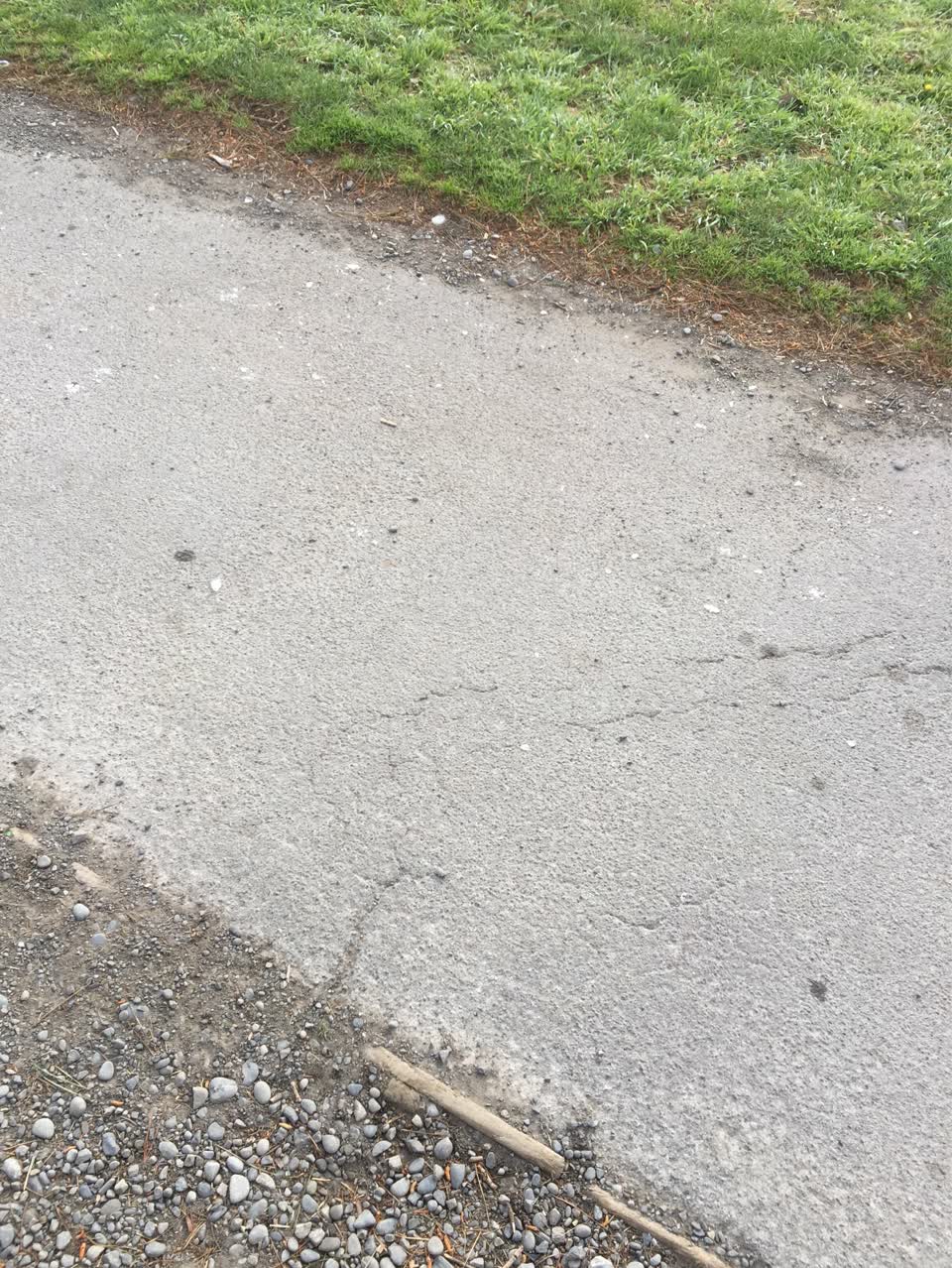 The photograph attached to this litter report