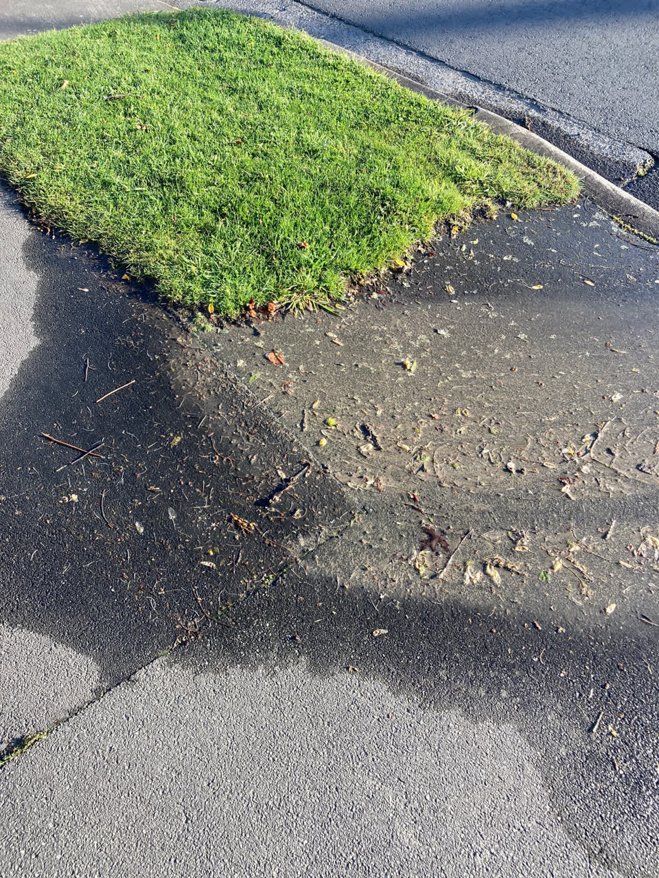 The photograph attached to this water leak report