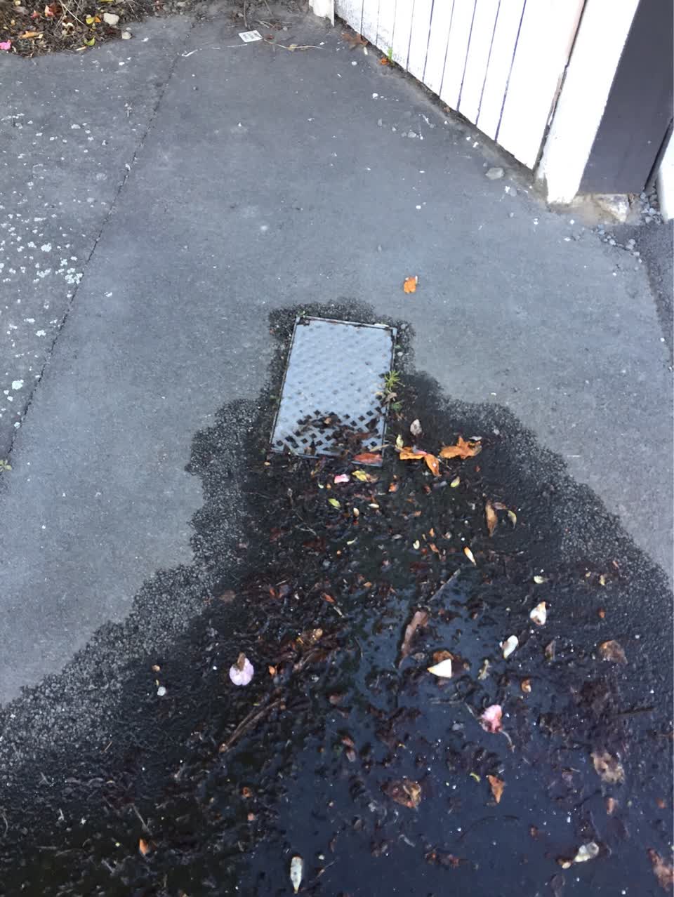The photograph attached to this water leak report