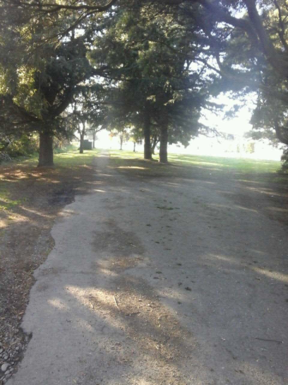 The photograph attached to this roads - general report