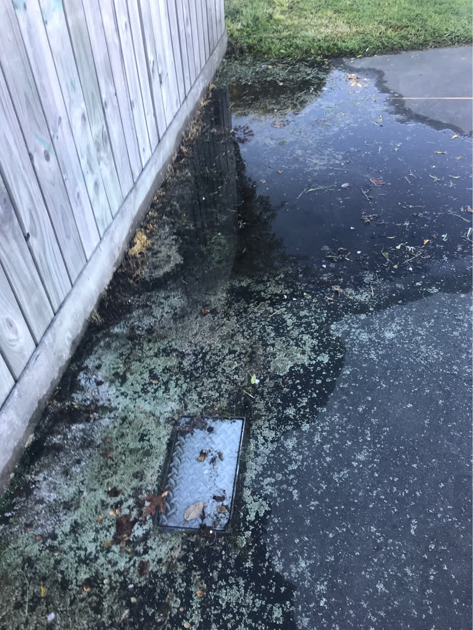 The photograph attached to this water leak report