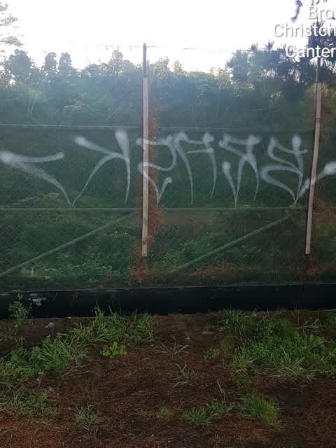 Graffiti, a report photo