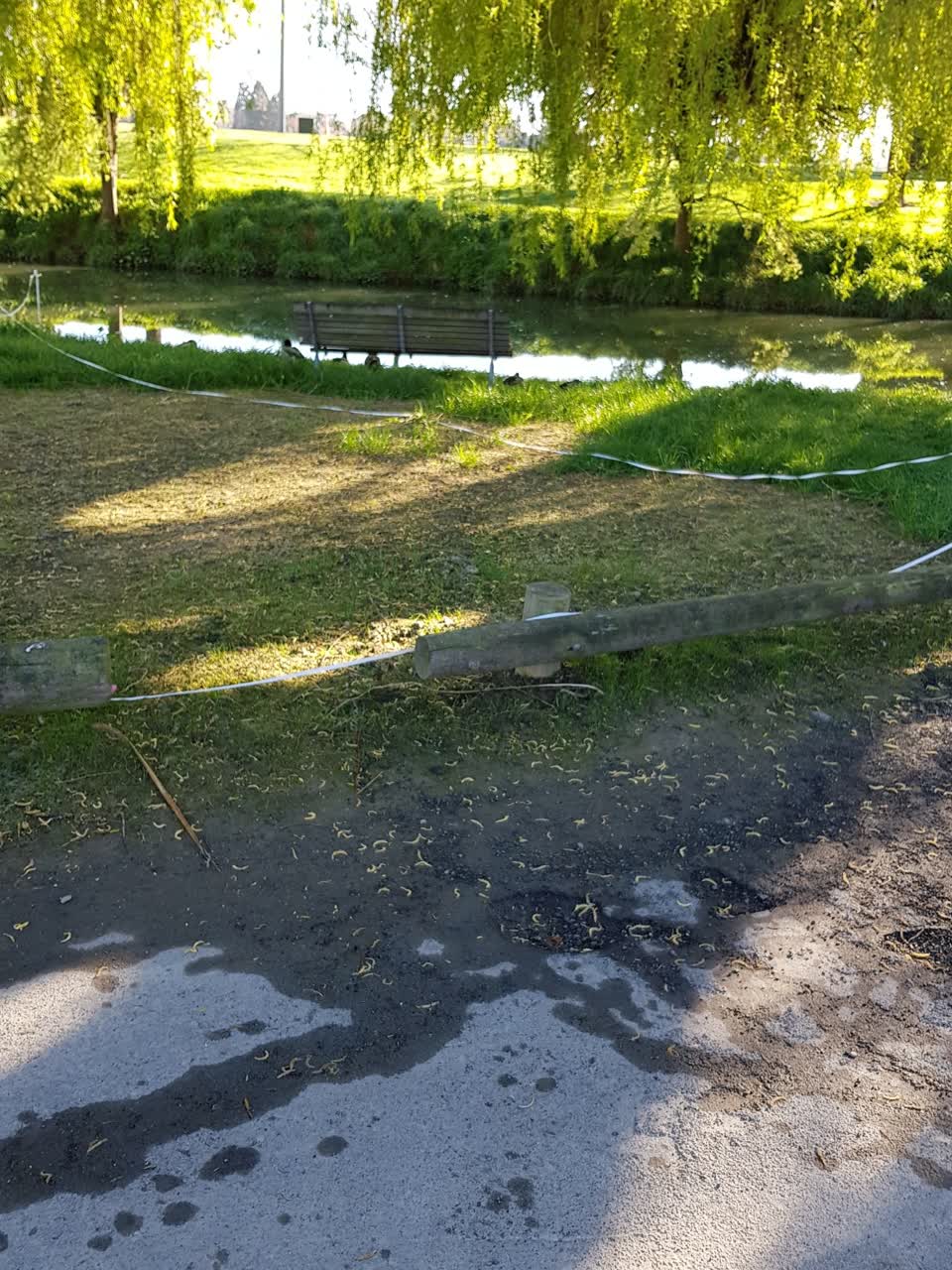 The photograph attached to this parks report