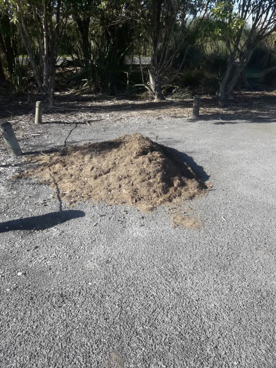 The photograph attached to this dumped rubbish report
