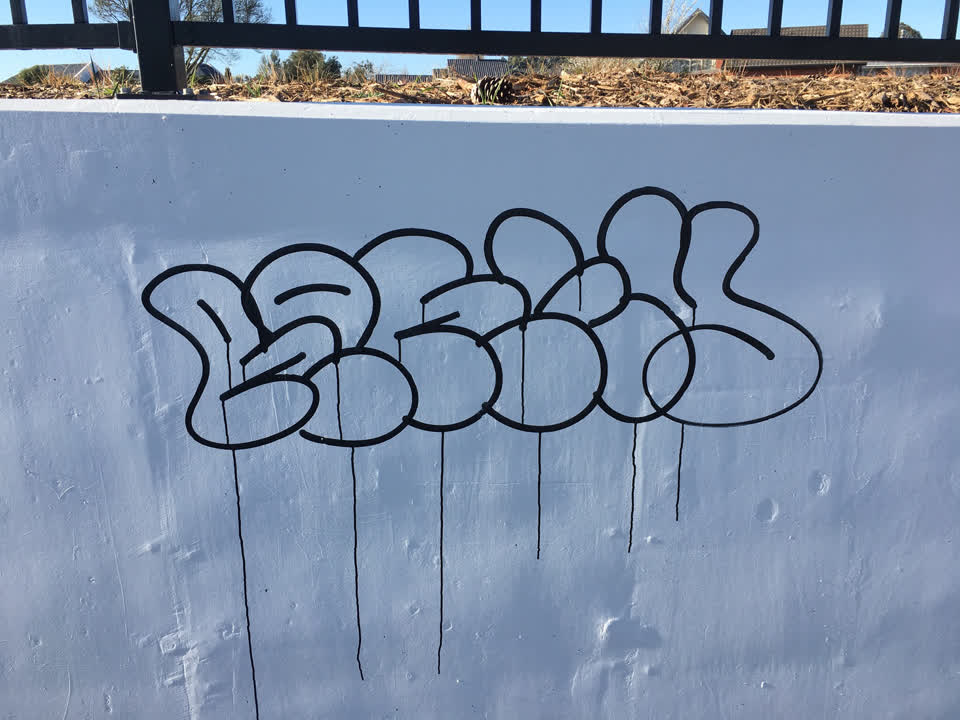 The photograph attached to this graffiti report