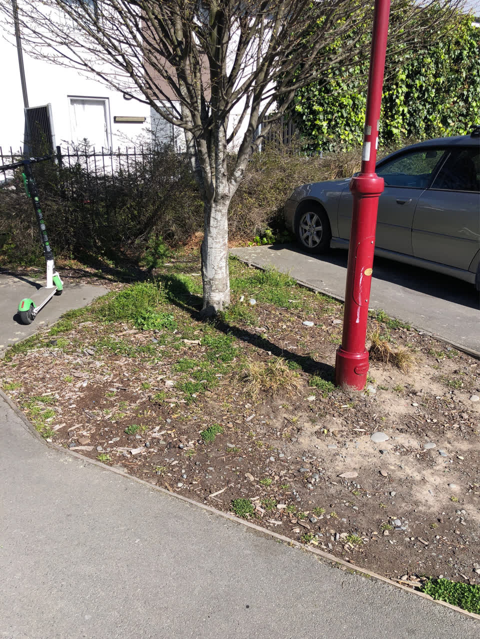 The photograph attached to this overgrown vegetation report