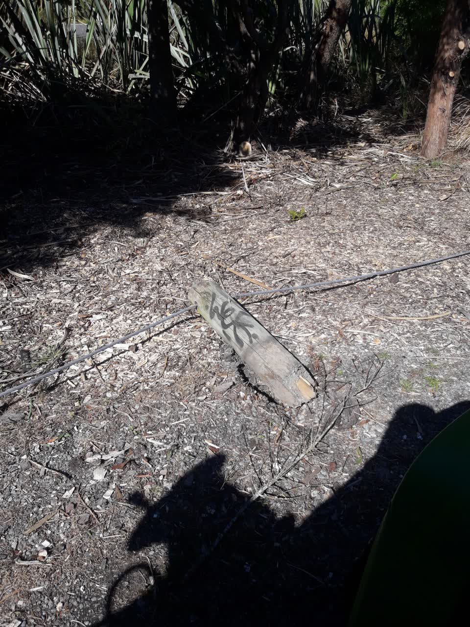 The photograph attached to this vandalism - general report