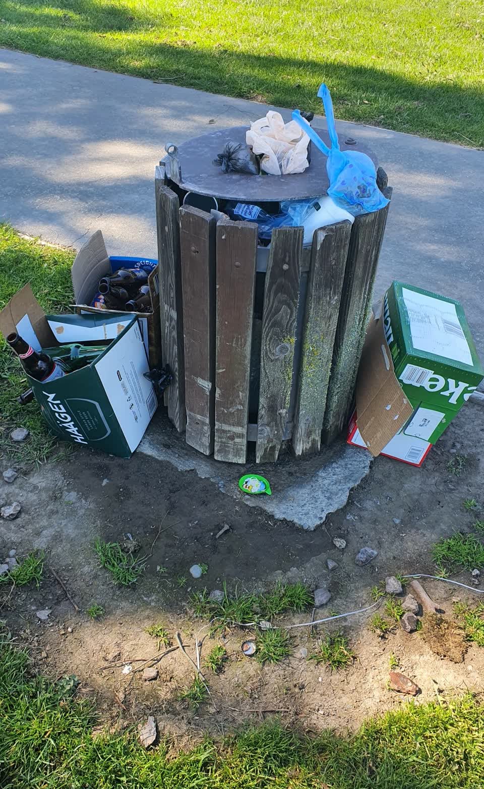 The photograph attached to this rubbish and bins - general report