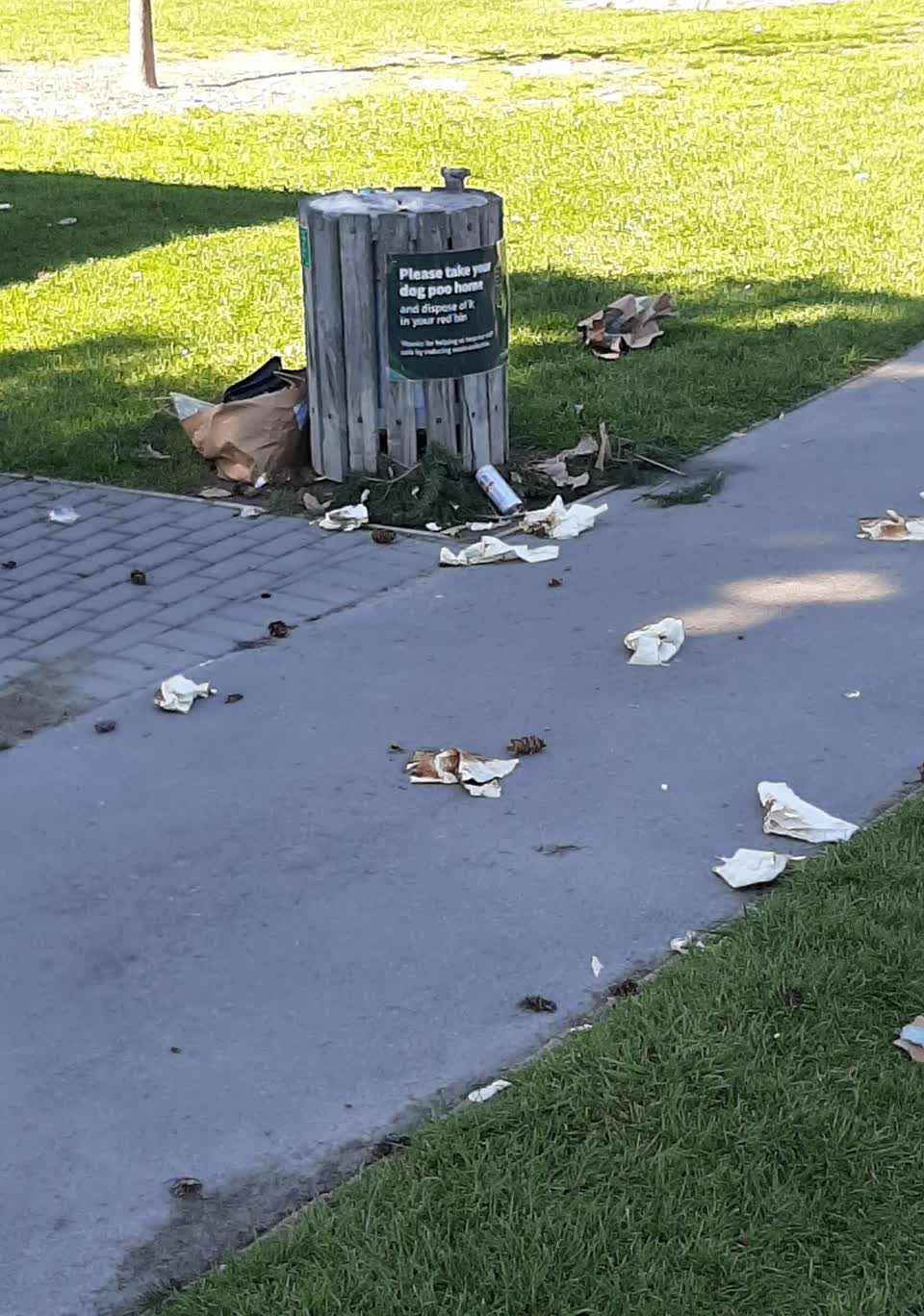 The photograph attached to this rubbish and bins - general report