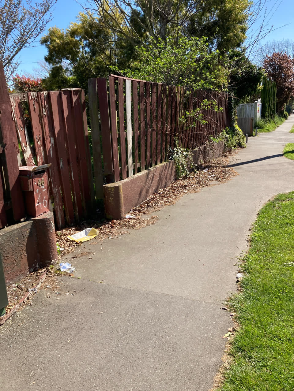 The photograph attached to this overgrown vegetation report