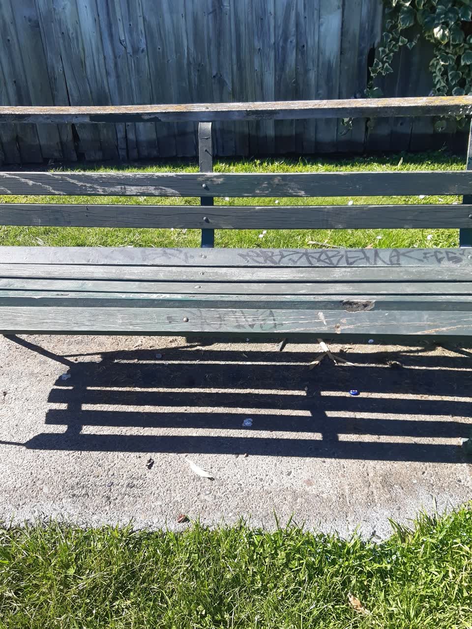 The photograph attached to this vandalism - general report