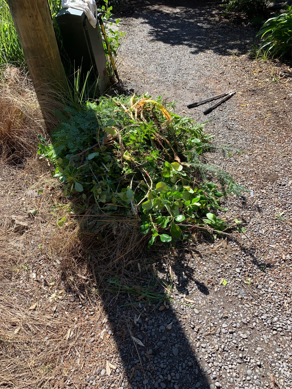The photograph attached to this parks report