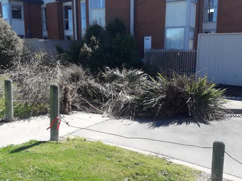Parks, a report photo