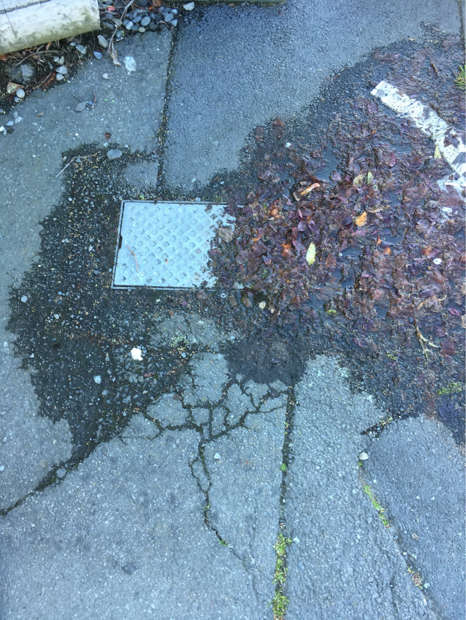 The photograph attached to this wastewater/stormwater report