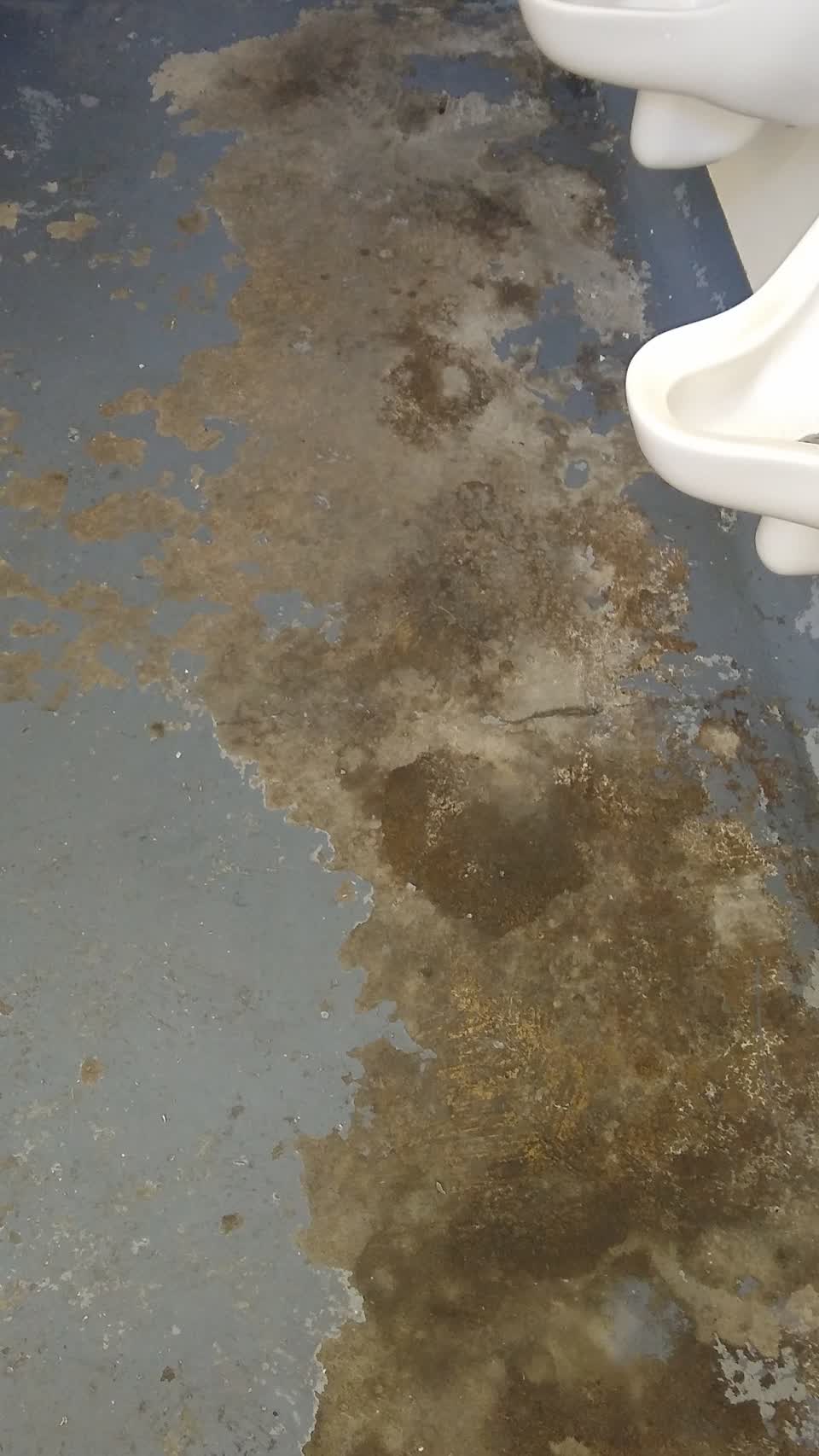 The photograph attached to this public toilet report