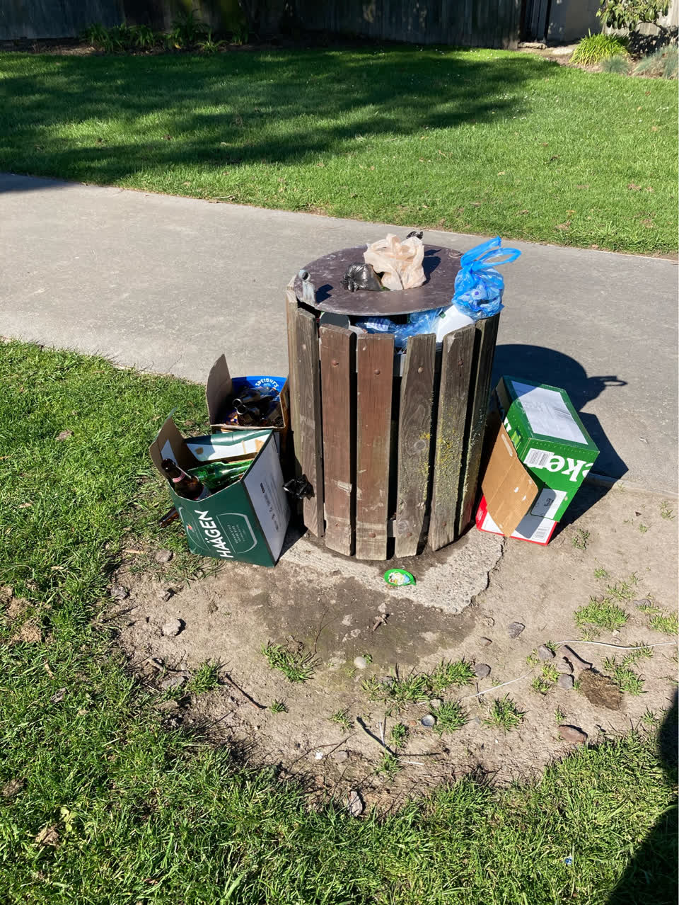 The photograph attached to this rubbish and bins - general report