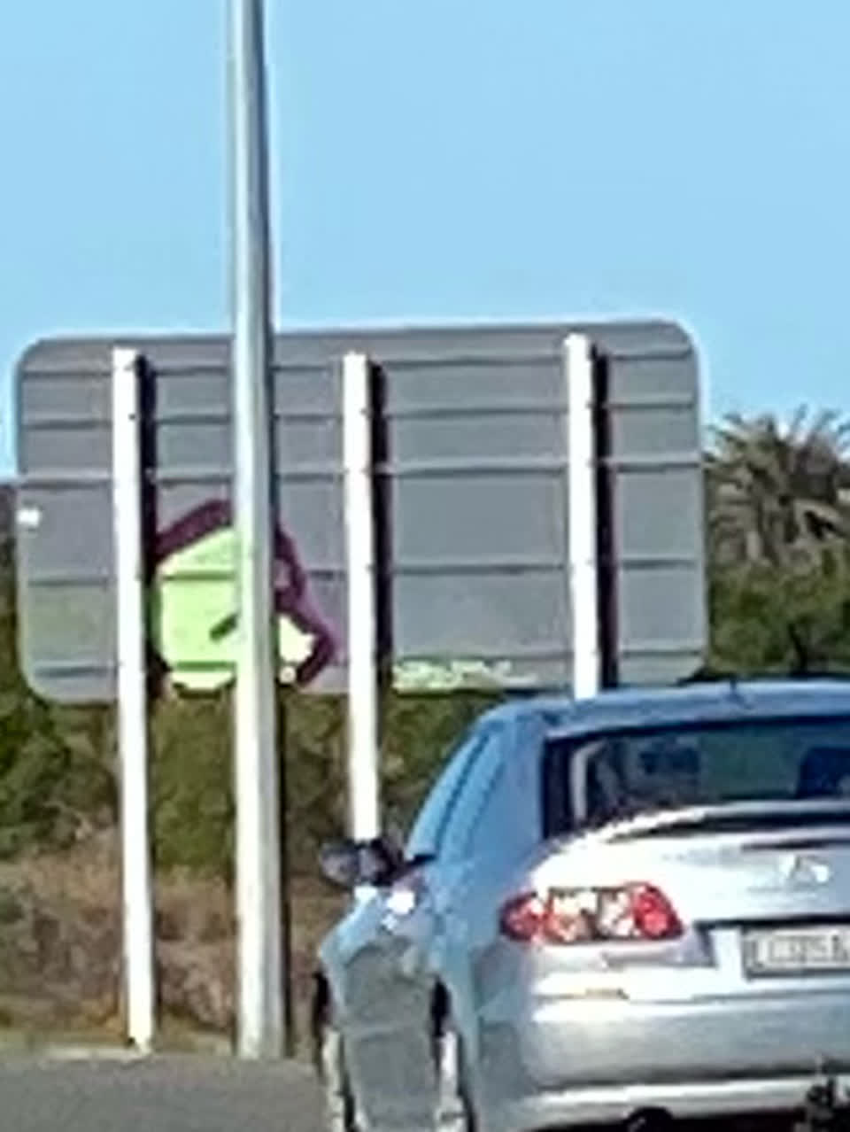 The photograph attached to this graffiti - signage report