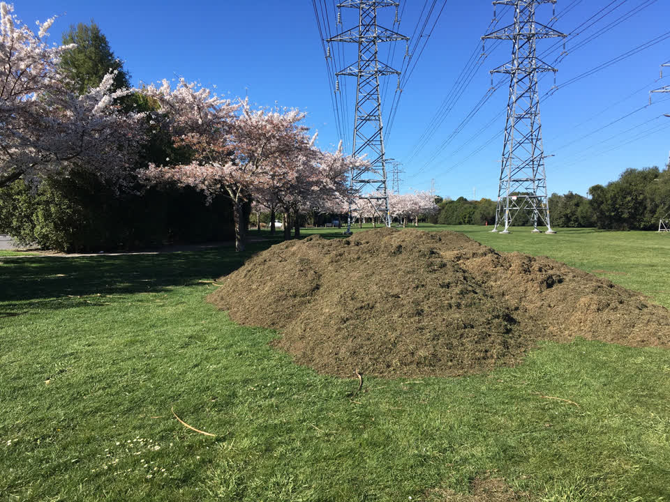 The photograph attached to this parks report