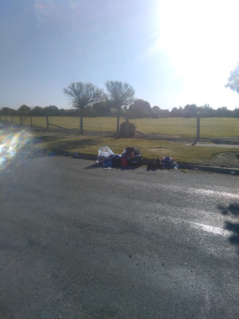 The photograph attached to this rubbish and bins - general report