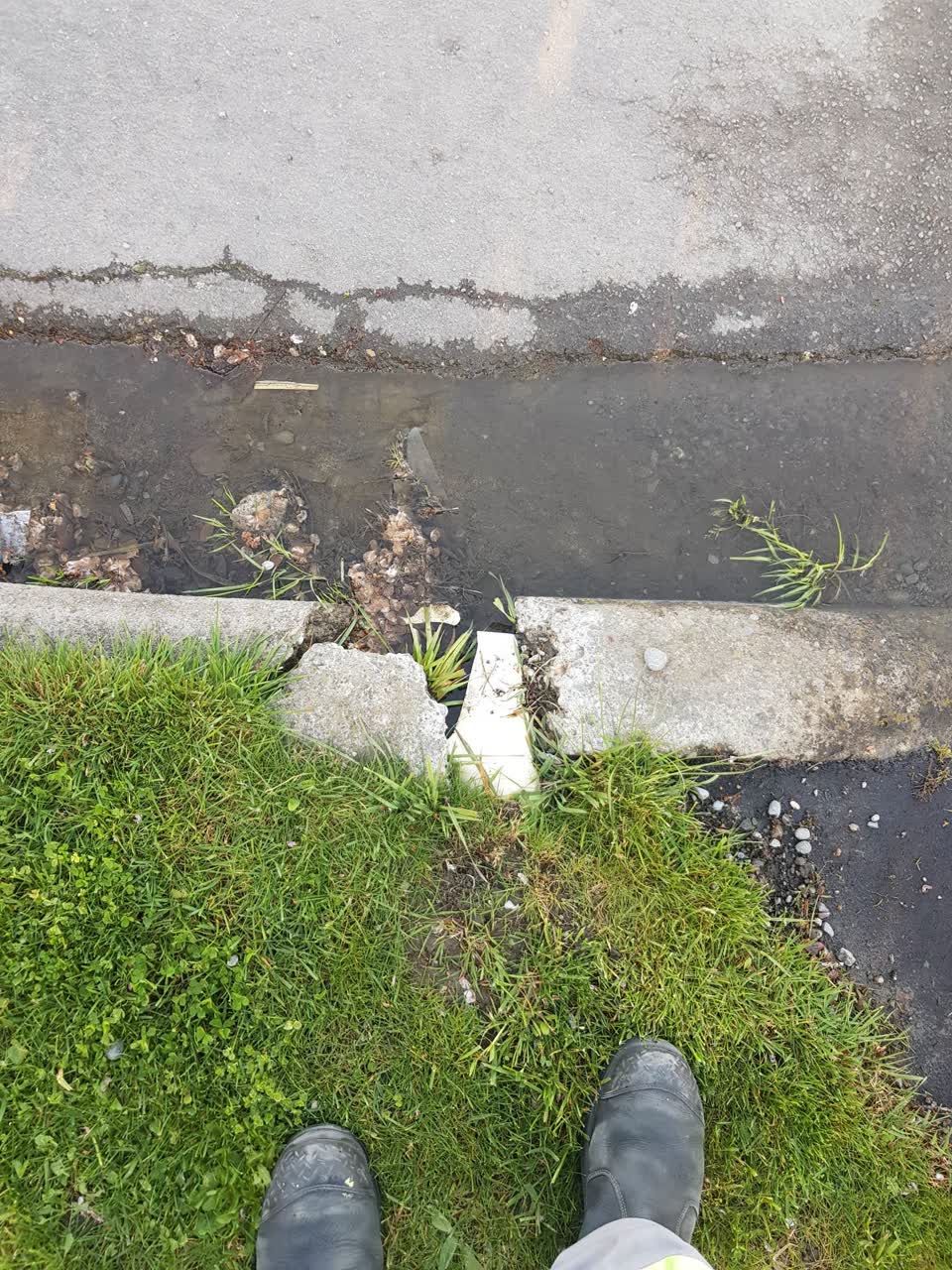 The photograph attached to this pavement - damaged report