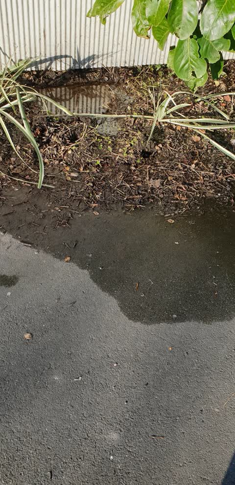 Water Leak, a report photo