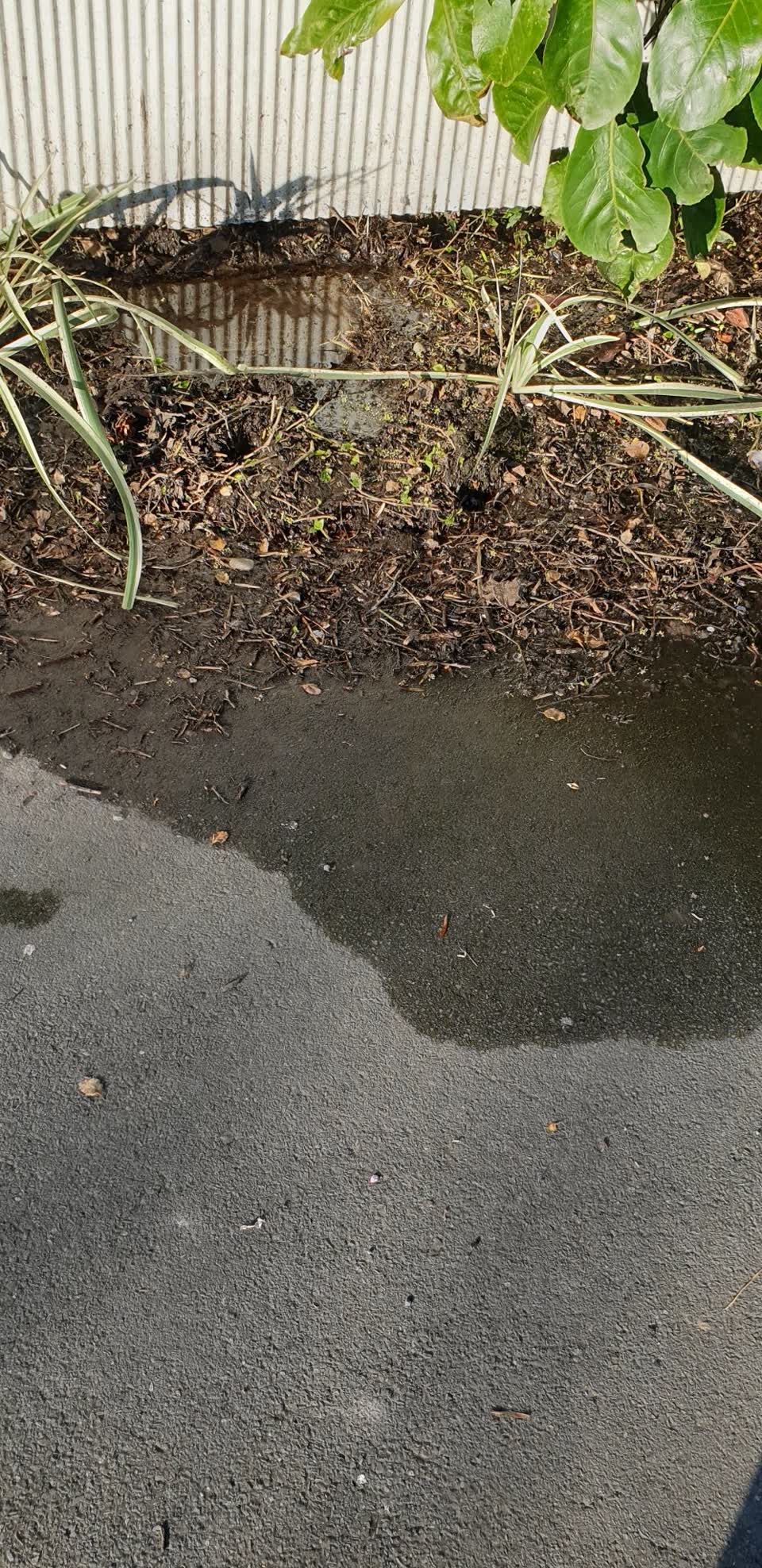 The photograph attached to this water leak report