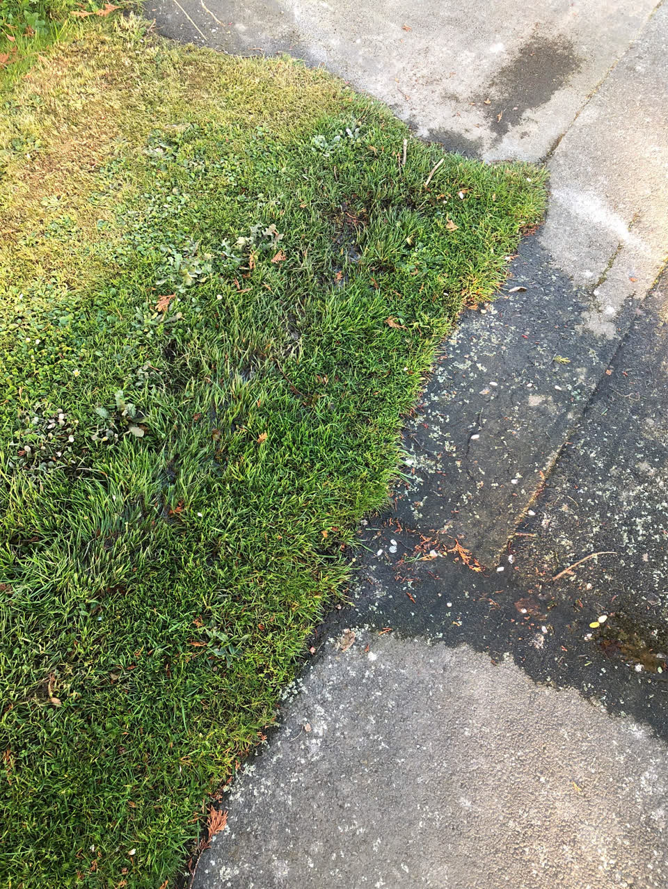 The photograph attached to this flooding report