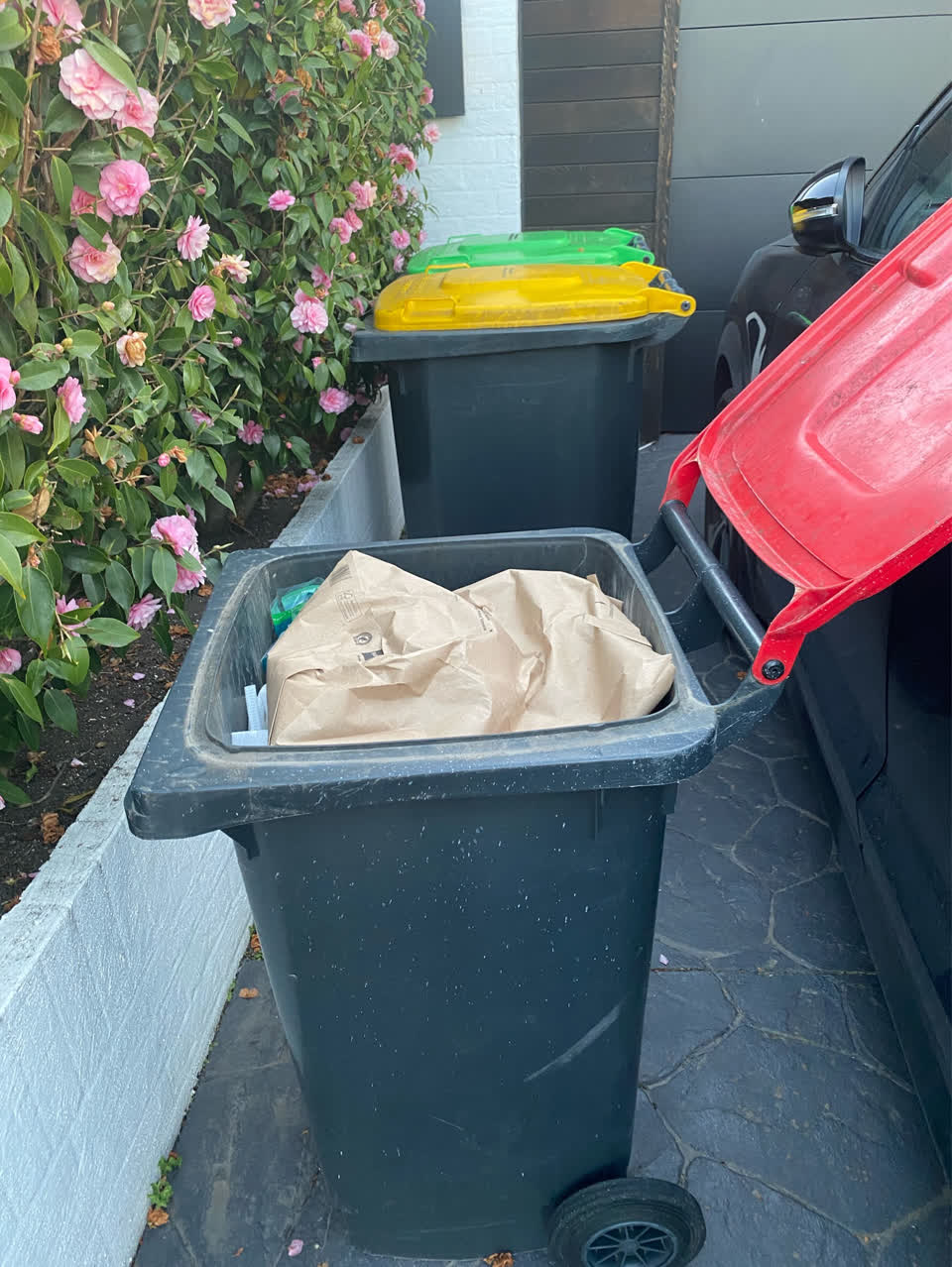 The photograph attached to this rubbish and bins - general report